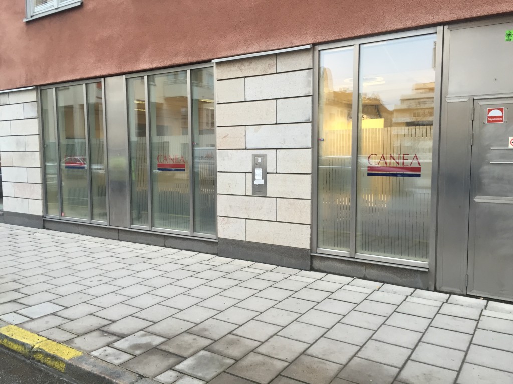 frostat glas mönster insynsskydd